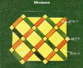 mozaika1